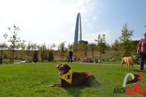 Dogs at Gateway Arch National Park