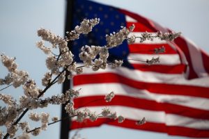 American Flag with flowers in the foreground