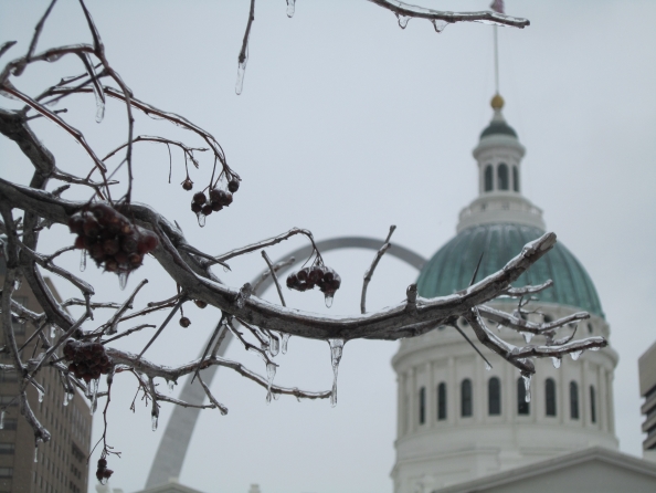 An ice-covered branch hangs in front of the Old Courthouse and Gateway Arch on a cold winter day.